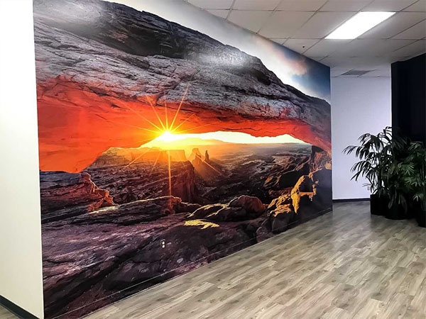 Wall Murals Graphics - Services